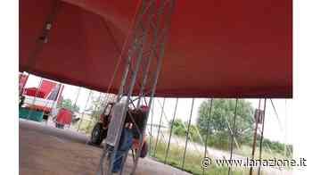 Il Circo di Vienna si rimette in moto Era fermo da mesi a Isola d’Arbia - LA NAZIONE