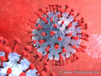 Pandemic rules 'a mess,’ Haldimand-Norfolk medical officer says - Sarnia Observer