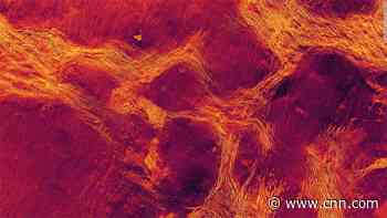 Venus may still be active based on 'pack ice' finding