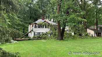 Storms down trees, knock out power in Monroe County