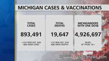 Michigan Health Officials Report 327 New Coronavirus Cases, 35 Deaths Over The Weekend - 9 & 10 News - 9&10 News