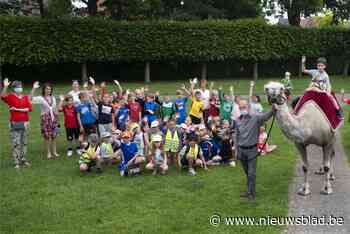 Schoolreis afgelast... dus maken schoolkinderen ritje op kam... (Zedelgem) - Het Nieuwsblad