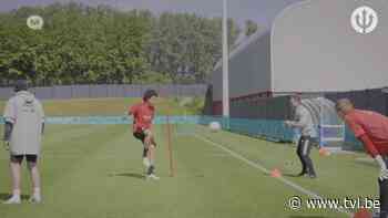 Eddy Pepels uit Bocholt is verzorger bij de Rode Duivels: "Iedereen is fit, Witsel en De Bruyne klaar om te spelen" - TV Limburg