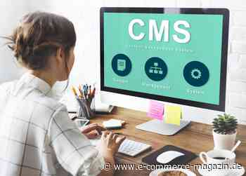 Content Management: 5 Gründe, warum die Zukunft kopflos ist - eCommerce Magazin