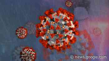 SC reports lowest number of new COVID-19 cases since March 2020 - WIS10