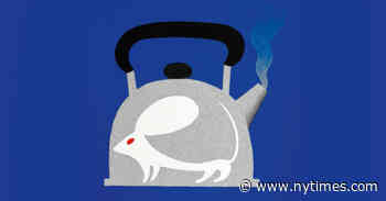 The House That Mouse Built