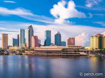 Tampa Arts Alliance Formed To Create More Support For Performers - Patch.com