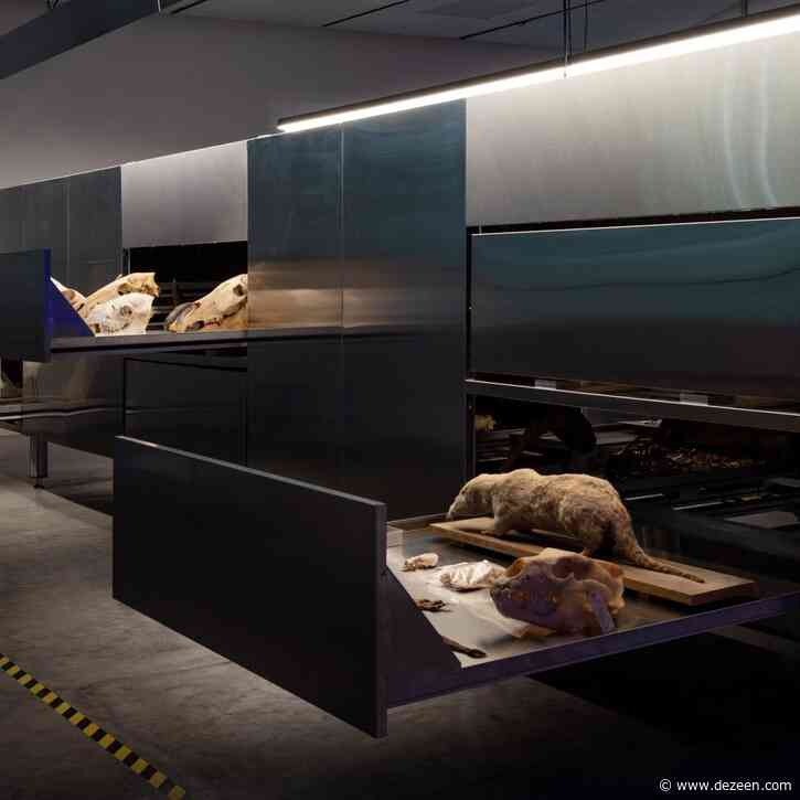 Israel puts skeletons and taxidermy on display at Venice Architecture Biennale