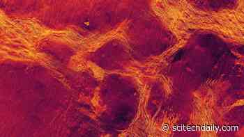 Venus’ Geological Secrets Revealed Through “Pack Ice” Tectonics