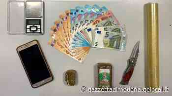 Modena. Il cane Pit va a segno: due persone arrestate da carabinieri e polizia locale - La Gazzetta di Modena