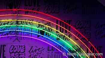 Mild homophobia paves way for long-term health issues in LGB people