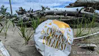 Biologist estimates helium balloons are ending up in Great Lakes by the hundreds of thousands