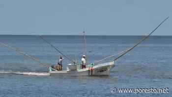 Pescadores piden ampliar la temporada de pulpo en Campeche - PorEsto