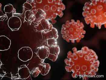 COVID-19: Global coronavirus cases cross 178.72 million - Gulf News