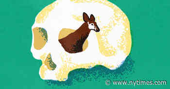 Whenever She Has This Dream, Someone in Her Village Dies