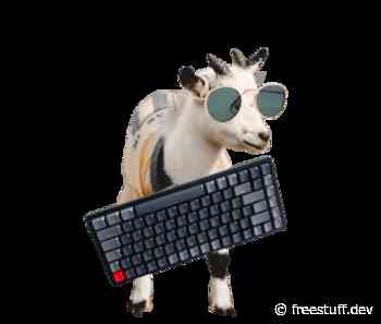 Free Stuff for Developer