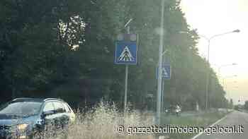 Erba alta: impossibile vedere chi attraversa - Gazzetta di Modena