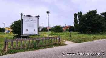 Erba alta e sporcizia, il parco Paul Harris versa nel degrado - ilmessaggero.it