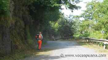 Viabilità, 190mila euro per taglio erba e vegetazione lungo le strade provinciali - La Voce Apuana