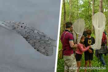 48 zeldzame dieren- en plantensoorten geteld in Vinderhoutse Bossen
