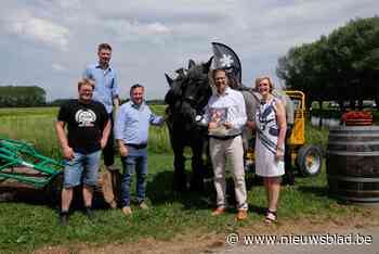Na babyboom krijgen Brabantse trekpaarden nu ook eigen magazine