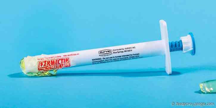 Undocumented immigrants are turning to unproven black market COVID-19 remedies, including a drug for deworming horses, because they don't have proper healthcare access, according to a report