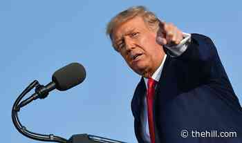 Trump has 'zero desire' to be Speaker, spokesman says