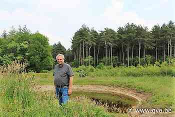 Gemeentebossen krijgen toekomstgericht beheer - Gazet van Antwerpen