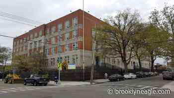 A coaching tree grows in Brooklyn - Brooklyn Daily Eagle