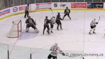 Calgary Hitmen announce plans to return, with crowds, to Scotiabank Saddledome - CTV Toronto