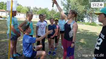1. VC Parchim: Mit Sportmännchen-Test in die Sommerferien verabschiedet | svz.de - svz – Schweriner Volkszeitung