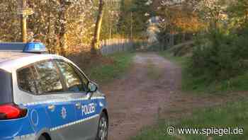 Ludwigslust-Parchim: Vermisster 70-Jähriger nach zwei Tagen lebend im Wald gefunden - DER SPIEGEL