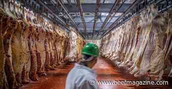 Meat processing capacity gets $55 million funding boost