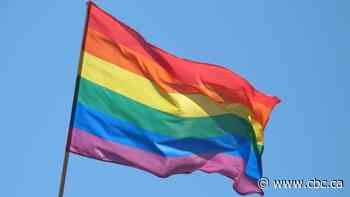 2 teens arrested in burning of Pride flag in Mississauga, police say