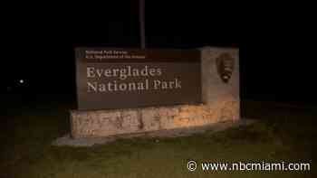 Man Accused of Shooting at Rangers in Everglades National Park Dies in Custody