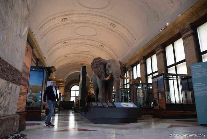 Belgium to Return Hundreds of Objects Obtained Illegally from Democratic Republic of Congo