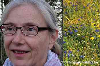 Hilde Devos lanceert dichtbundel tijdens ziekte: “Woorden dragen mij door de dagen”