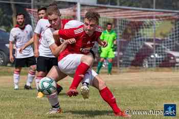 SpVgg Lam siegt in Arnschwang - FuPa - FuPa - das Fußballportal