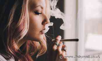 Health: Cannabis users are more likely to think about and attempt suicide even if not depressed
