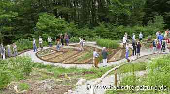 Kräuterbeete in Blattform als Rückzugsorte - Steinen - Badische Zeitung