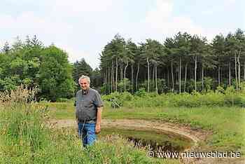 Gemeentebossen krijgen toekomstgericht beheer (Essen) - Het Nieuwsblad