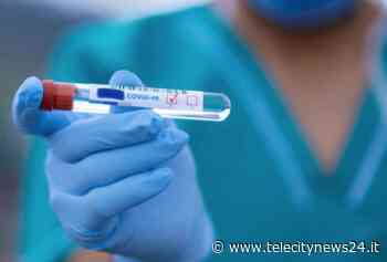 Coronavirus: calano i domiciliati ad Alessandria, Ovada e Casale Monferrato - Telecity News 24