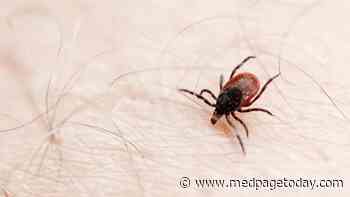 Single Tick Bite Packs Triple Punch