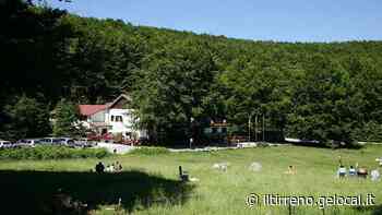 Il Prato della Contessa rinasce, ecco il progetto di sistemazione - Il Tirreno