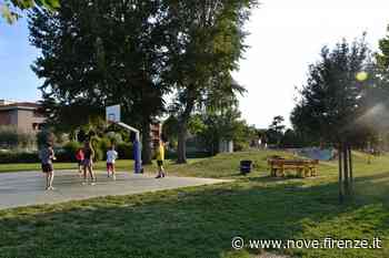 Forestazione urbana a Prato: oggi un evento - Nove da Firenze