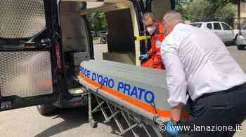 Prato, tragedia in villa: giardiniere cade da una scala e muore - LA NAZIONE