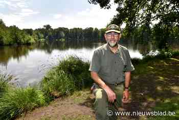 Wild in Bokrijk: 39 everzwijnen, 65 reeën en één luie bever - Het Nieuwsblad