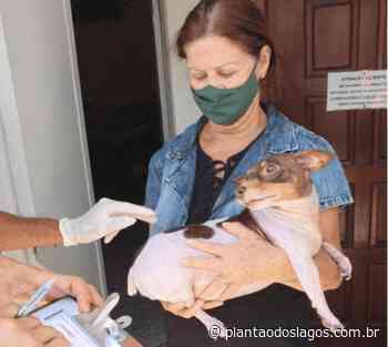 Campanha de Vacinação Antirrábica para cães e gatos de Cabo Frio chega a São Cristóvão - Plantao dos Lagos