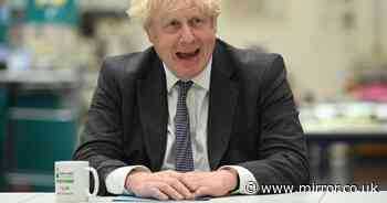 Boris Johnson 'finalising' work on social care plan he said was ready 2 years ago - The Mirror