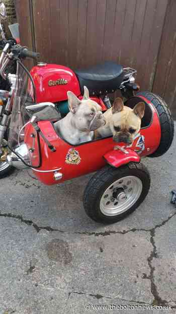 Bolton's answer to Wallace and Gromit hits the road